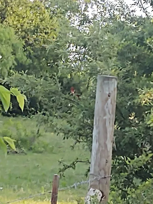 San Gabriel River RV Park Picture 3