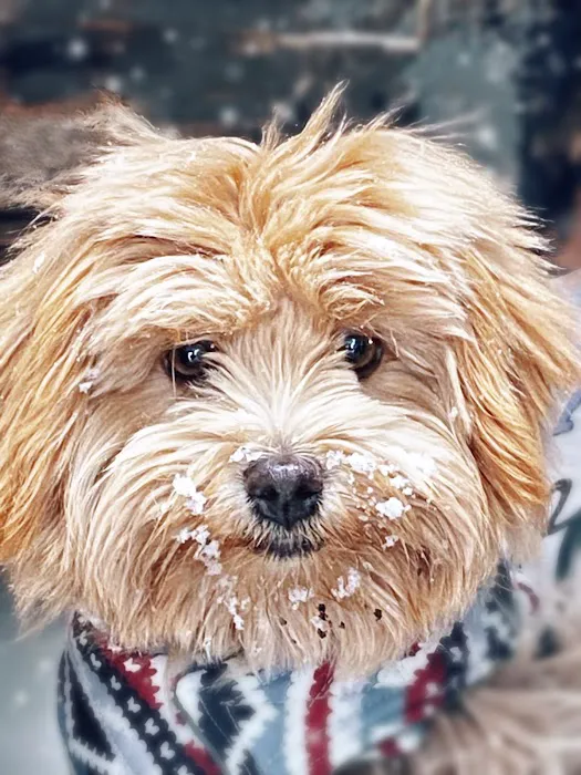 Big Oaks RV Park Picture 6