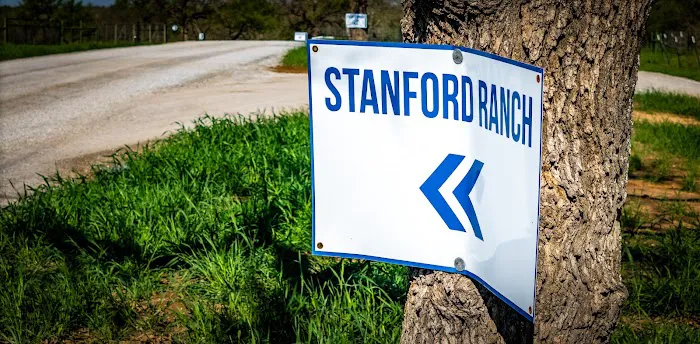 Stanford Ranch Lakeside RV Resort Picture 10