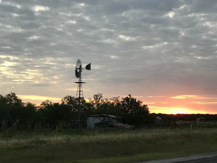 Cactus Rose RV Park Picture 1