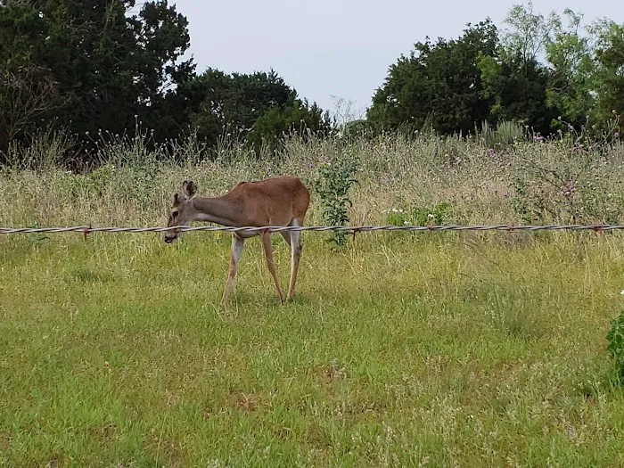 Golden Cove Picture 1