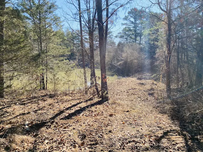 DKM RV Park Picture 6