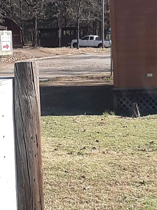 Morrilton RV Park Picture 8