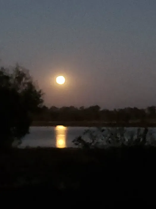 Cherokee Park RV Park Picture 2