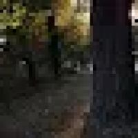 Cherokee Park RV Park ico