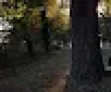 Cherokee Park RV Park