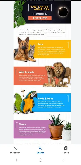 2024 Solar Eclipse RV Camping Picture 5