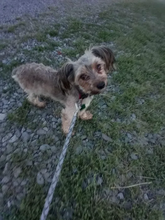 Damascus RV Park LLC Picture 1