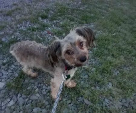 Damascus RV Park LLC