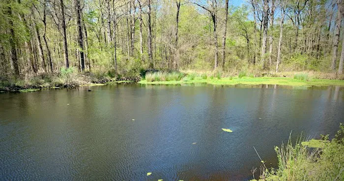 Hazzard RV Park Picture 3