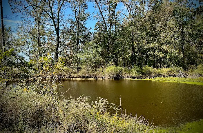 Hazzard RV Park Picture 9