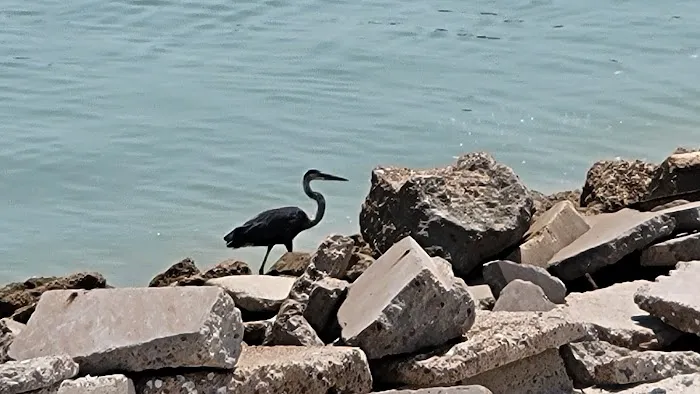 Sunrise on Mag RV Park Picture 10