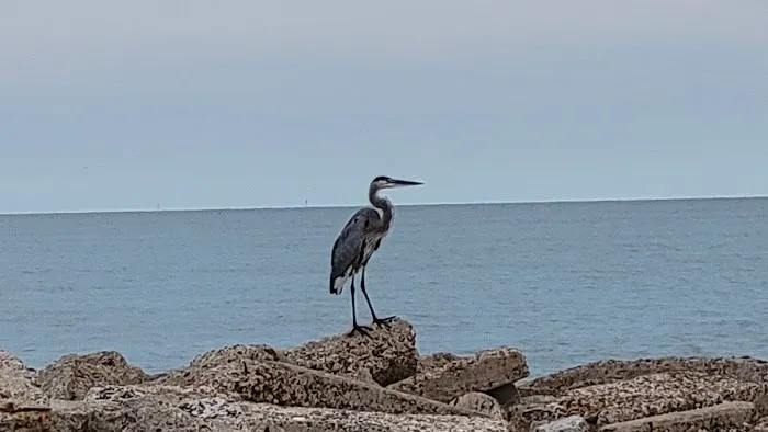 Sunrise on Mag RV Park Picture 7