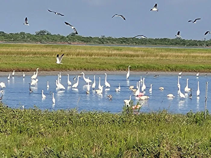 Ocean Drive RV Park Picture 3