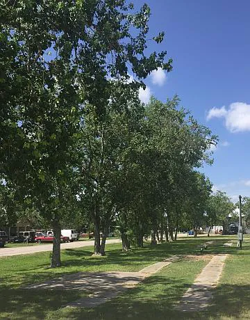 Flag City RV & Mobile Home Village Picture 2