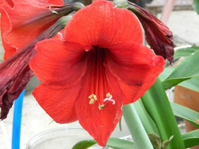 Fivecoats Rv Park Picture 2