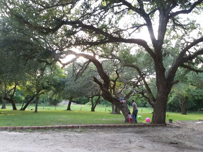 Shady Oaks RV Park & Campground Picture 6