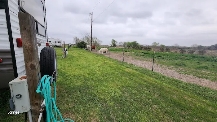 Besos Ranch RV Park Picture 2