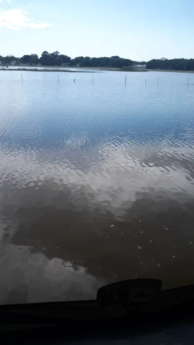 Cinch RV Park Picture 2