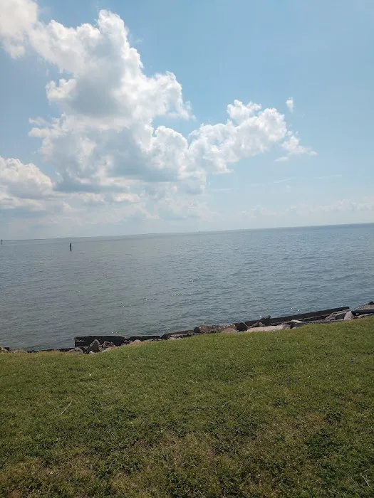 Sanddollar RV Park Picture 7