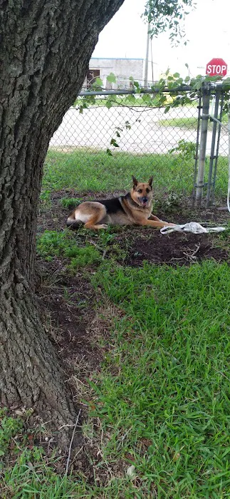 Sanddollar RV Park Picture 4