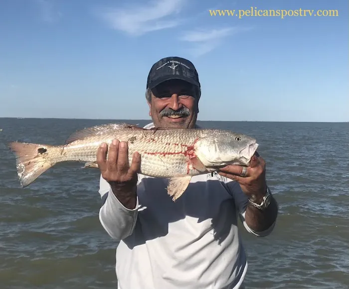 Pelican's Post RV Park Picture 8