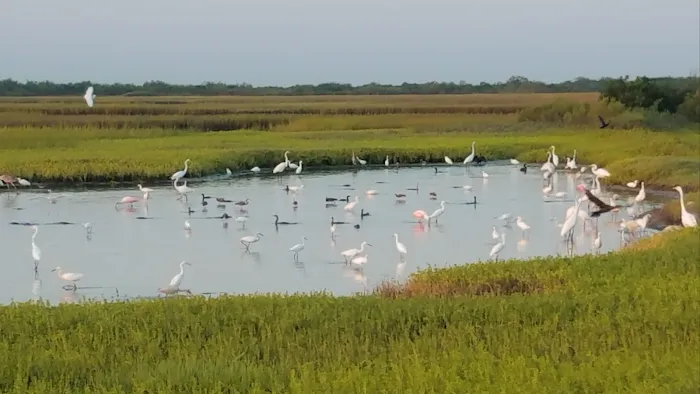 Magnolia Beach RV Park - Port Lavaca Texas Picture 5