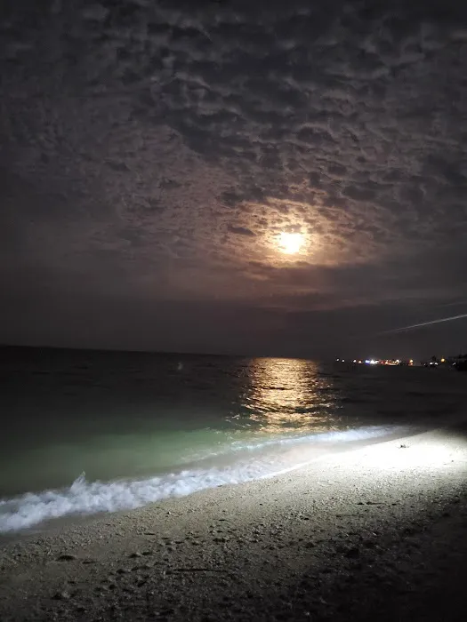 Nuestro ranchito rv park & rv dump Picture 2