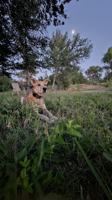 Steelhorn RV Park Picture 2