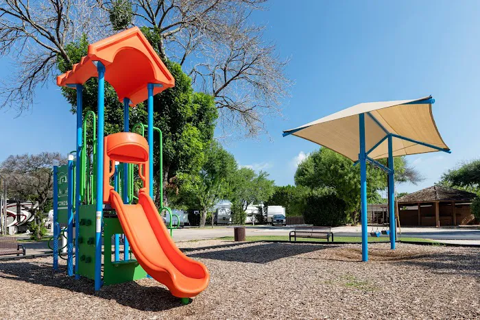 Austin Lone Star Picture 7