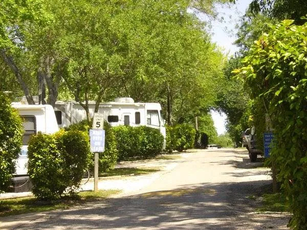 Austin Lone Star Picture 1