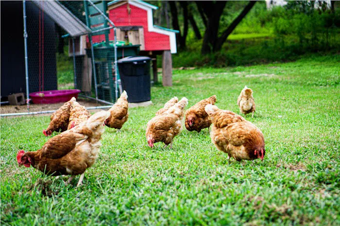 Lake & Hills RV Park Picture 8