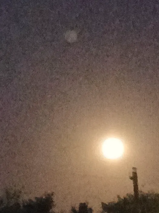 Hudson Bend RV Park Inc Picture 2