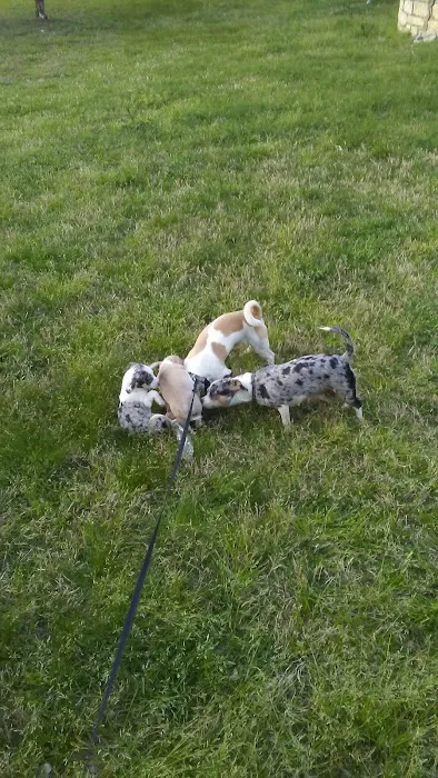 Lake Travis Inn & RV Park Picture 1