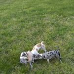 Lake Travis Inn & RV Park