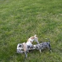 Lake Travis Inn & RV Park ico