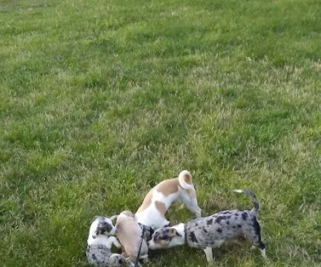 Lake Travis Inn & RV Park