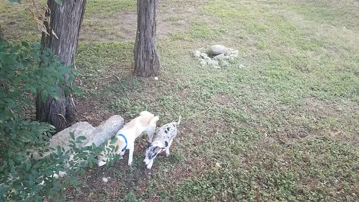 Lake Travis Inn & RV Park Picture 6