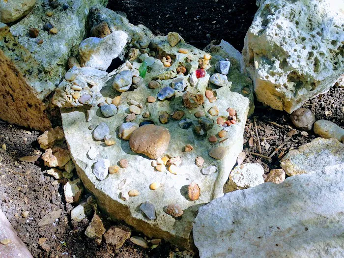 Lake Travis Inn & RV Park Picture 7