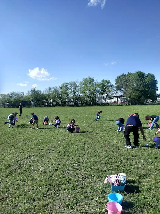 Springshire Estates Picture 6