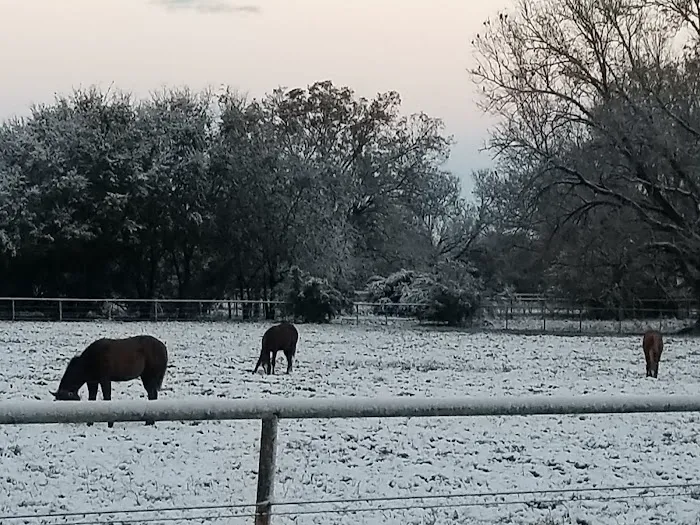 Twin Palms RV Park Picture 6