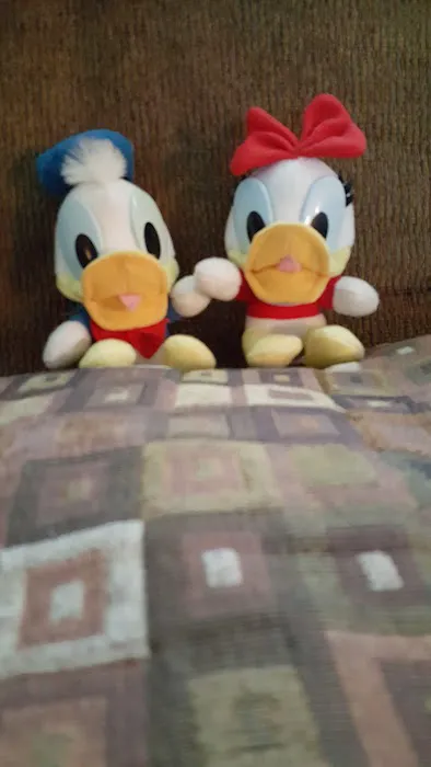 Pecan Plantation Mobile Home Picture 1