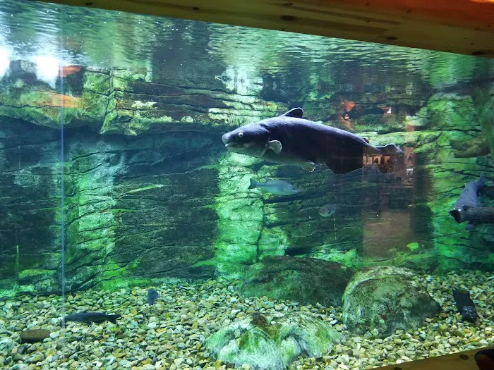 Pecan Plantation Mobile Home Picture 7