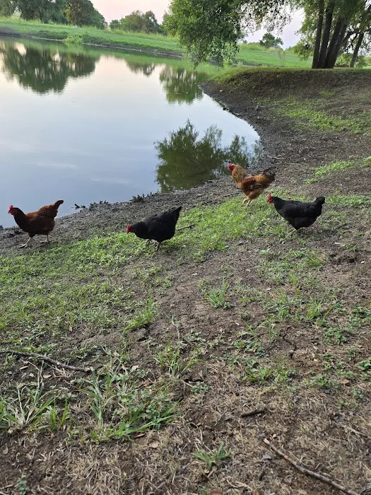 Stone Cross Ranch RV Park Picture 9