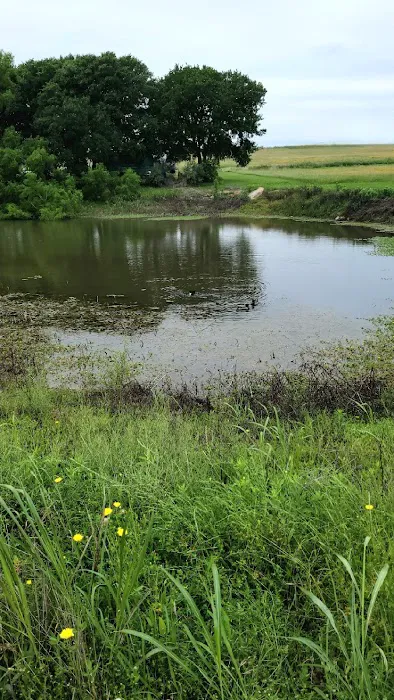 Stone Cross Ranch RV Park Picture 3