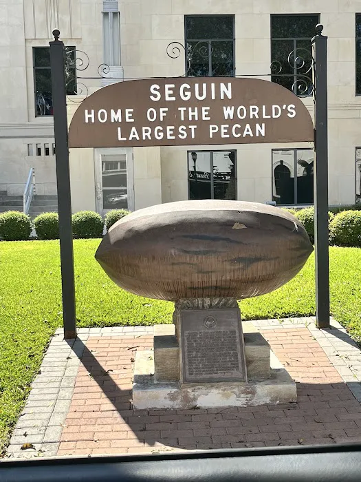 Patriot RV Park - Seguin Picture 8