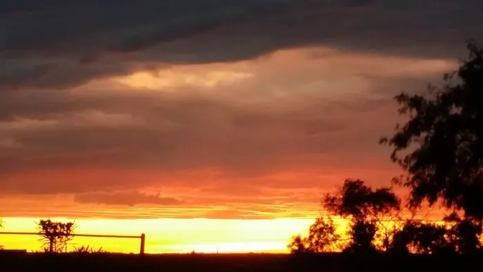 For Pete's Sake R V Park Picture 7