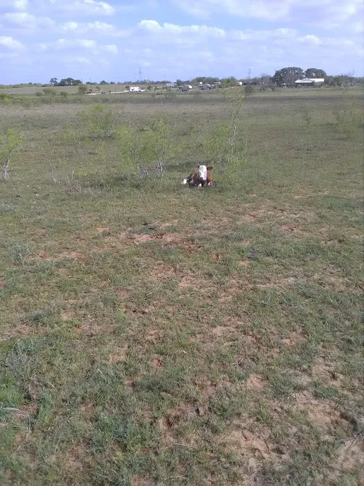 Windmill RV ParkLLC Picture 8