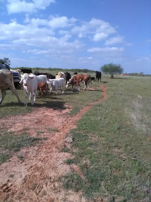 Windmill RV ParkLLC Picture 10