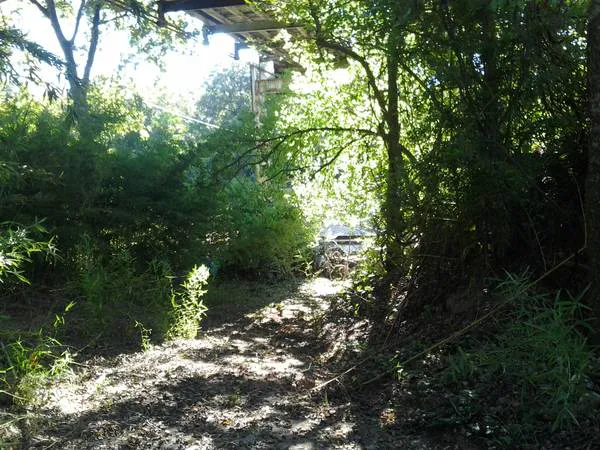 Hot Shot RV Park Picture 3